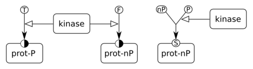 Two ways of representing phosphorylated and non-phosphorylated states of a protein